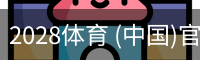 2028体育
